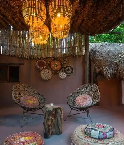 Jungle -steps To The And Restaurants!
